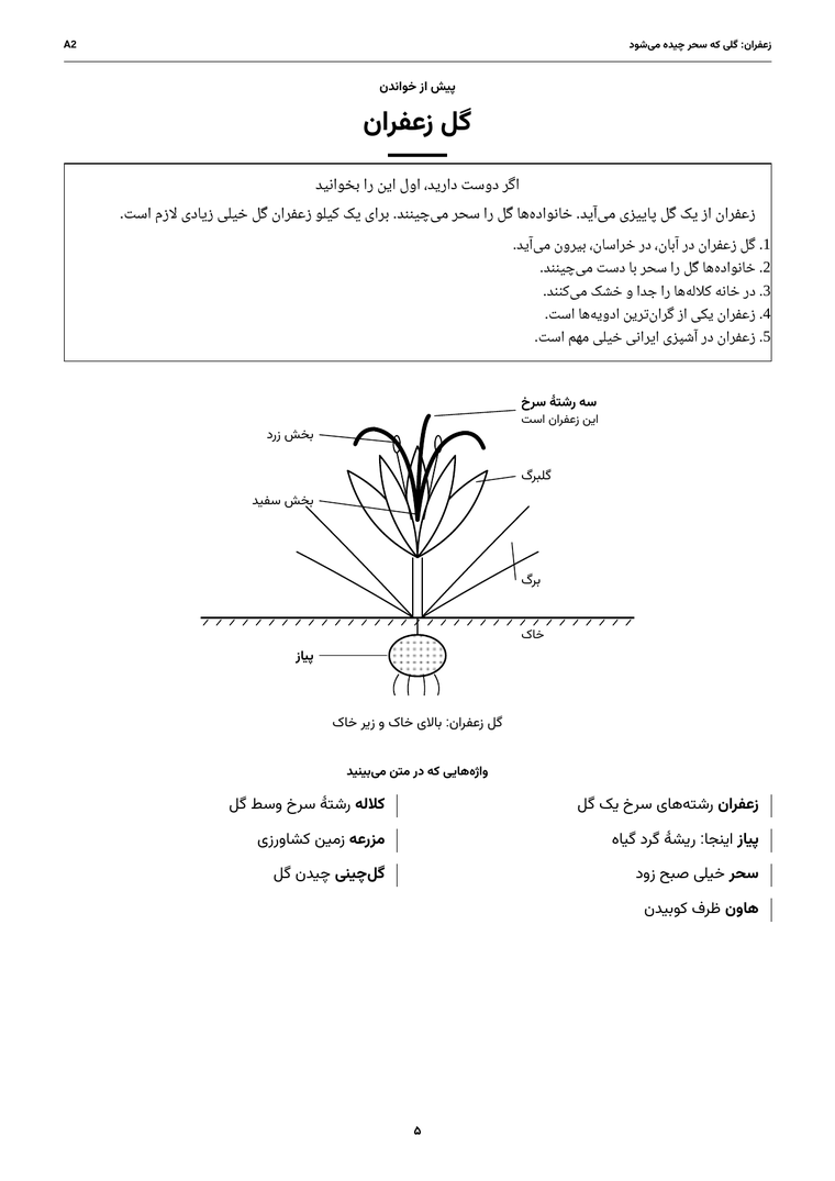 پیش از خواندن